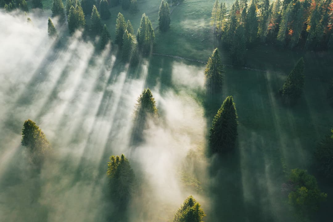 THỦ PHỦ CỦA THẾ GIỚI ĐỒNG HỒ TINH TÚY